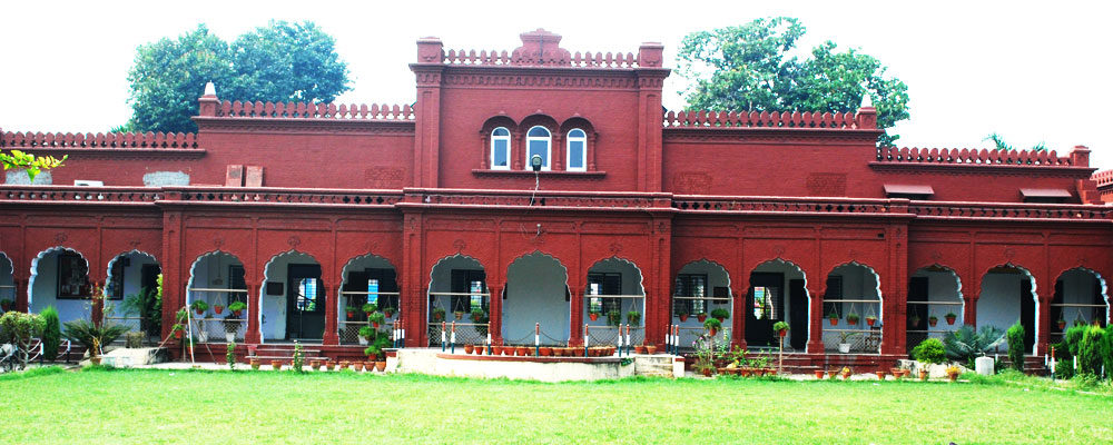 DN Inter College
